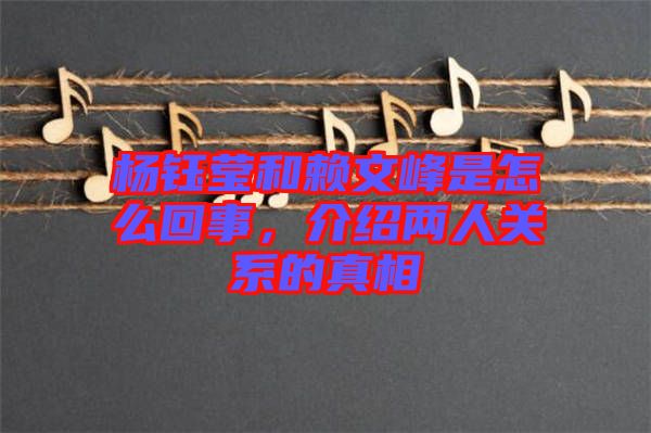 楊鈺瑩和賴文峰是怎么回事，介紹兩人關(guān)系的真相