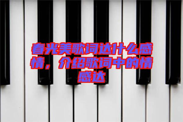 春光美歌詞達什么感情，介紹歌詞中的情感達