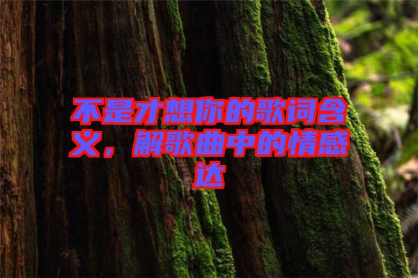 不是才想你的歌詞含義，解歌曲中的情感達(dá)