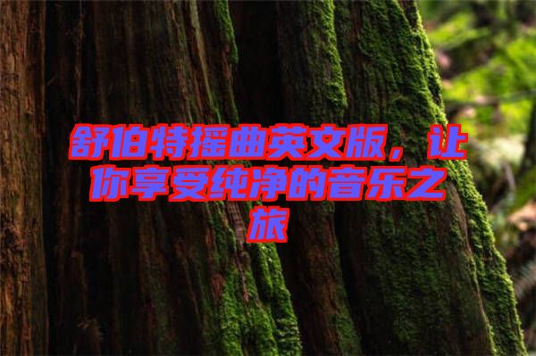 舒伯特?fù)u曲英文版，讓你享受純凈的音樂之旅