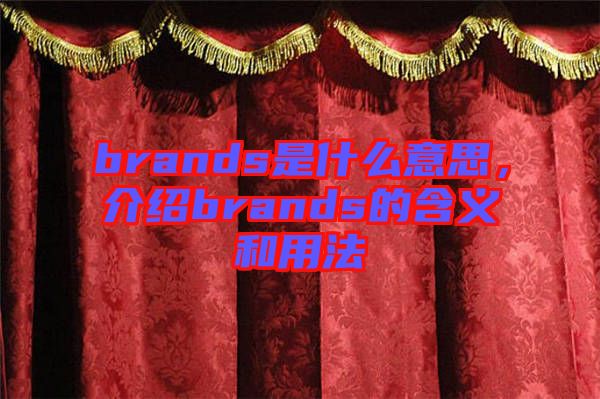 brands是什么意思，介紹brands的含義和用法