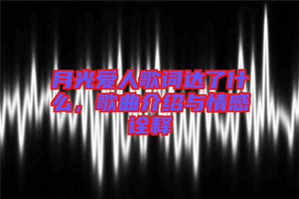 月光愛人歌詞達了什么，歌曲介紹與情感詮釋