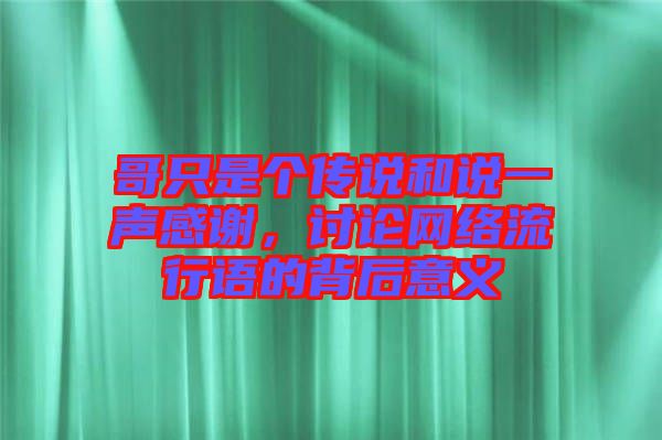 哥只是個傳說和說一聲感謝，討論網(wǎng)絡流行語的背后意義