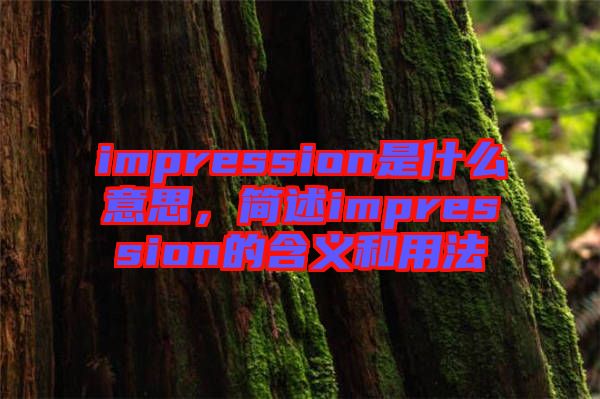 impression是什么意思，簡述impression的含義和用法