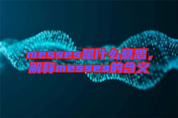 messes是什么意思，解釋messes的含義