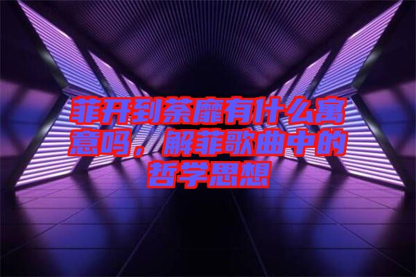 菲開到荼靡有什么寓意嗎，解菲歌曲中的哲學思想