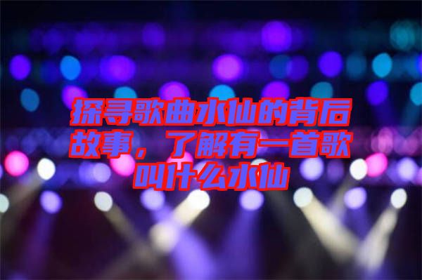 探尋歌曲水仙的背后故事，了解有一首歌叫什么水仙