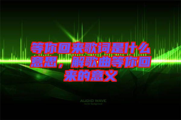 等你回來歌詞是什么意思，解歌曲等你回來的意義