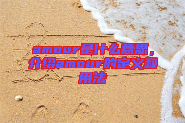 amour是什么意思，介紹amour的定義和用法