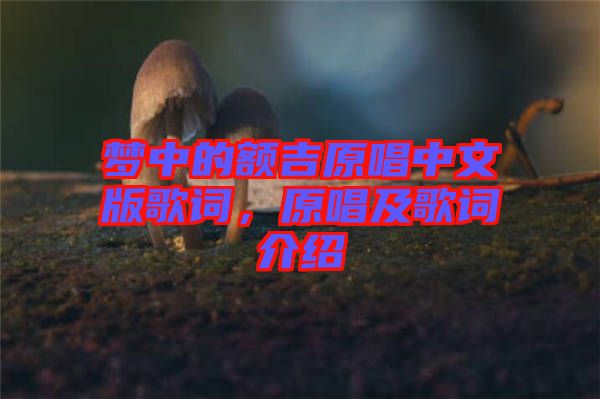 夢中的額吉原唱中文版歌詞，原唱及歌詞介紹