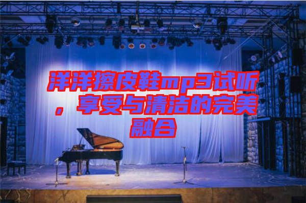 洋洋擦皮鞋mp3試聽，享受與清潔的完美融合