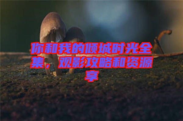 你和我的傾城時光全集，觀影攻略和資源享