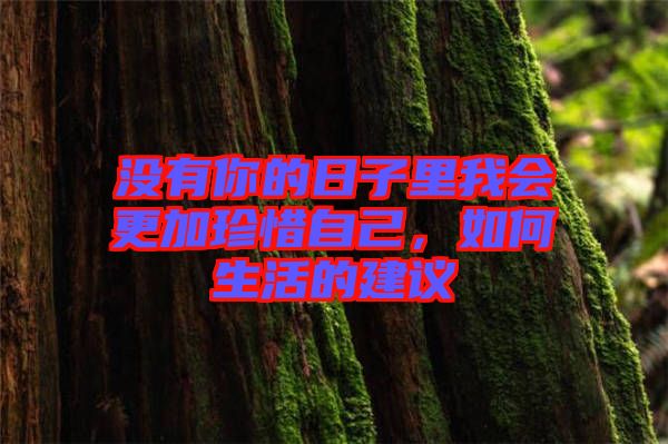 沒有你的日子里我會(huì)更加珍惜自己，如何生活的建議