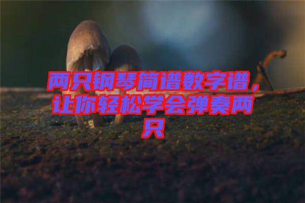 兩只鋼琴簡譜數(shù)字譜，讓你輕松學會彈奏兩只