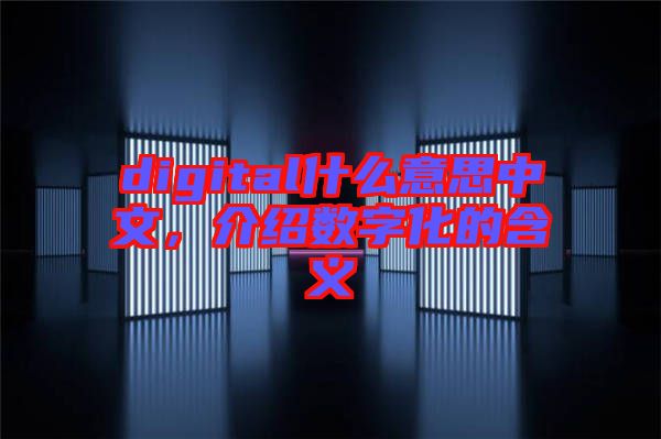 digital什么意思中文，介紹數(shù)字化的含義