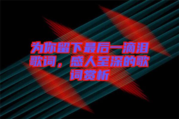 為你留下最后一滴淚歌詞，感人至深的歌詞賞析