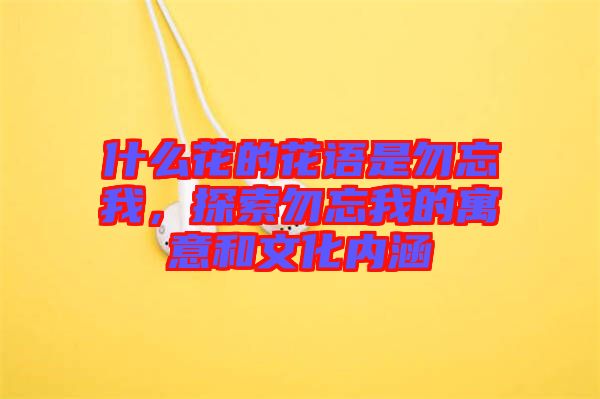 什么花的花語(yǔ)是勿忘我，探索勿忘我的寓意和文化內(nèi)涵