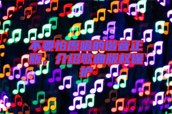 不要怕原唱的諧音正版，介紹歌曲版權(quán)保護