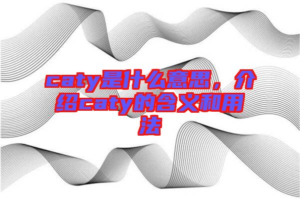 caty是什么意思，介紹caty的含義和用法