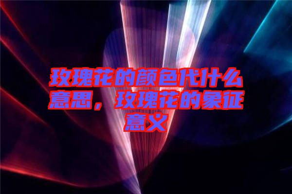 玫瑰花的顏色代什么意思，玫瑰花的象征意義