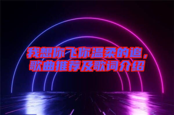 我想你飛你溫柔的追，歌曲推薦及歌詞介紹