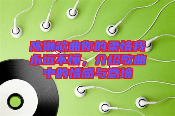 陳琳歌曲你的柔情我永遠(yuǎn)不懂，介紹歌曲中的情感與意境