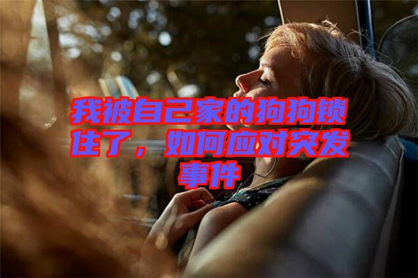 我被自己家的狗狗鎖住了，如何應對突發(fā)事件