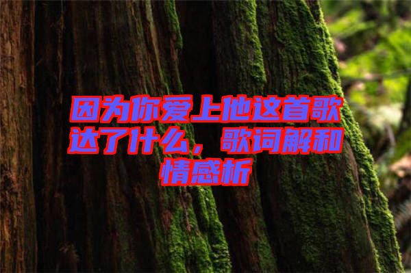 因為你愛上他這首歌達了什么，歌詞解和情感析