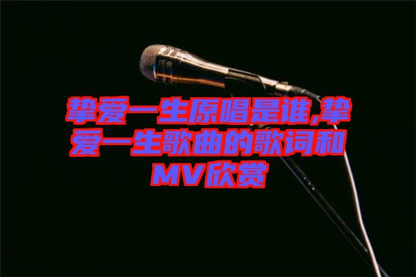 摯愛(ài)一生原唱是誰(shuí),摯愛(ài)一生歌曲的歌詞和MV欣賞