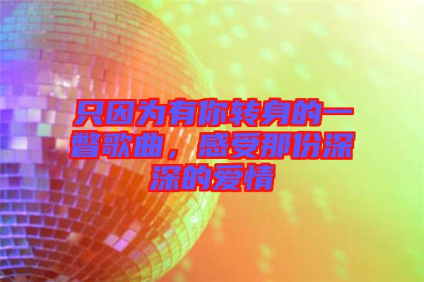 只因?yàn)橛心戕D(zhuǎn)身的一瞥歌曲，感受那份深深的愛情