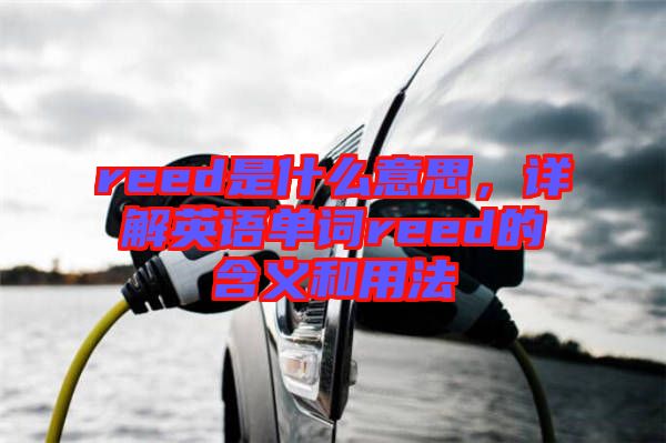 reed是什么意思，詳解英語單詞reed的含義和用法