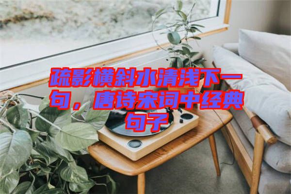 疏影橫斜水清淺下一句，唐詩(shī)宋詞中經(jīng)典句子