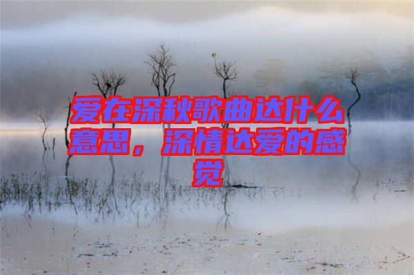 愛在深秋歌曲達什么意思，深情達愛的感覺