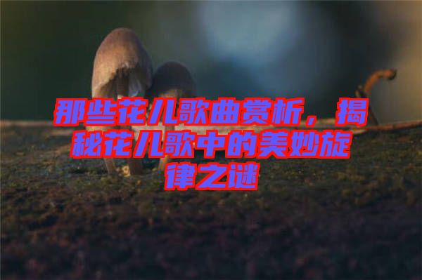 那些花兒歌曲賞析，揭秘花兒歌中的美妙旋律之謎