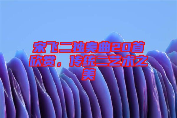 宋飛二獨(dú)奏曲20首欣賞，傳統(tǒng)二藝術(shù)之美