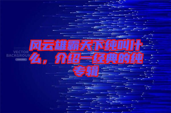 風(fēng)云雄霸天下純叫什么，介紹一經(jīng)典的純專輯