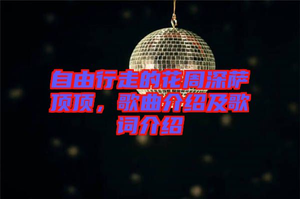 自由行走的花周深薩頂頂，歌曲介紹及歌詞介紹