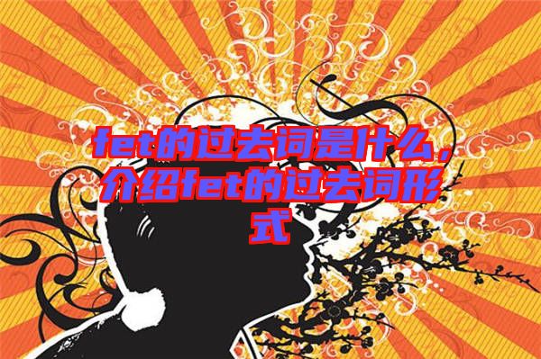 fet的過(guò)去詞是什么，介紹fet的過(guò)去詞形式