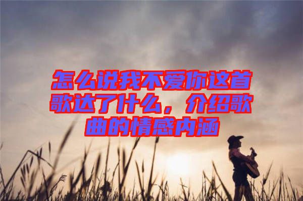 怎么說我不愛你這首歌達了什么，介紹歌曲的情感內涵