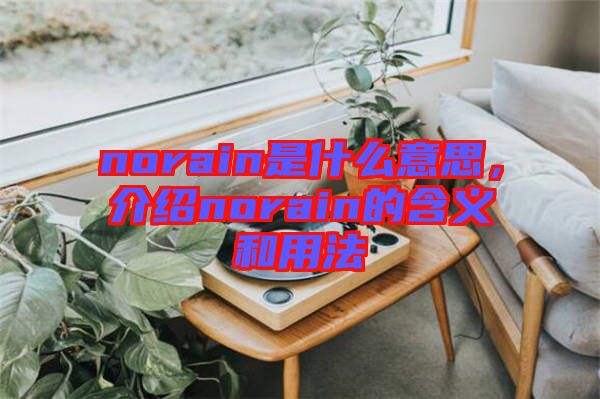 norain是什么意思，介紹norain的含義和用法