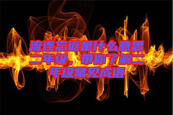 流連忘返是什么意思二年級(jí)，帶你了解二年級(jí)常見成語