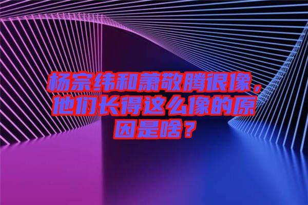 楊宗緯和蕭敬騰很像，他們長得這么像的原因是啥？