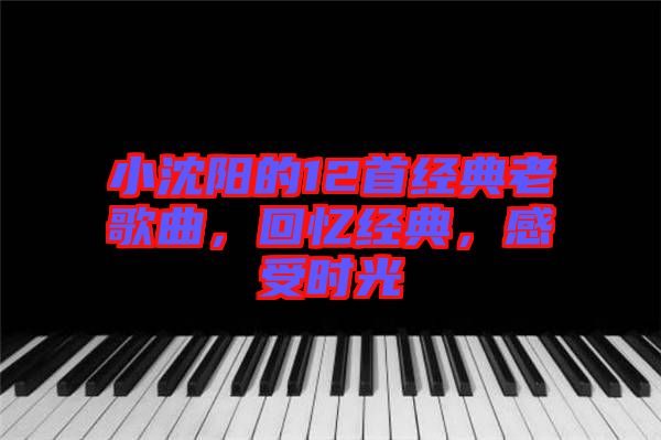 小沈陽的12首經(jīng)典老歌曲，回憶經(jīng)典，感受時光