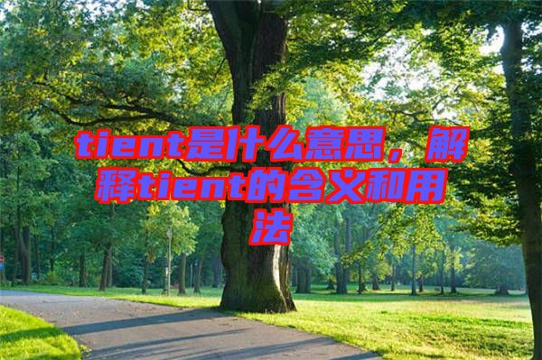 tient是什么意思，解釋tient的含義和用法