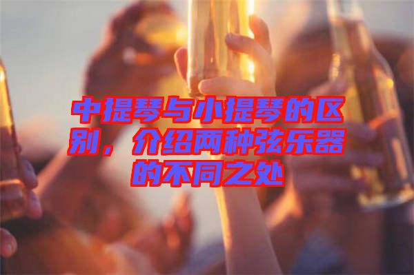 中提琴與小提琴的區(qū)別，介紹兩種弦樂器的不同之處