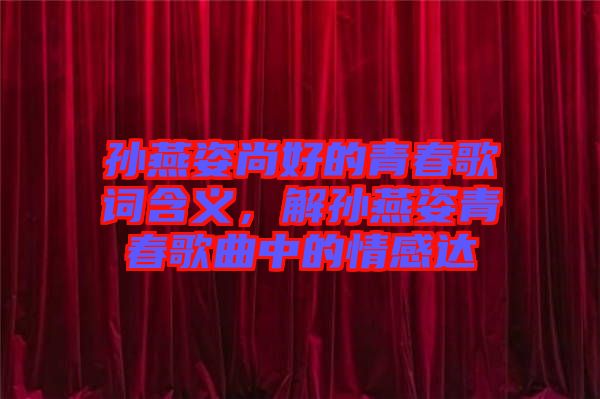 孫燕姿尚好的青春歌詞含義，解孫燕姿青春歌曲中的情感達