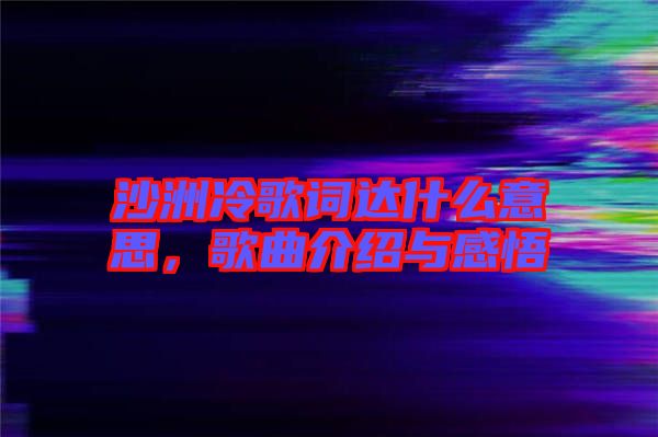 沙洲冷歌詞達(dá)什么意思，歌曲介紹與感悟