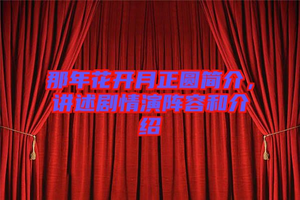 那年花開月正圓簡介，講述劇情演陣容和介紹