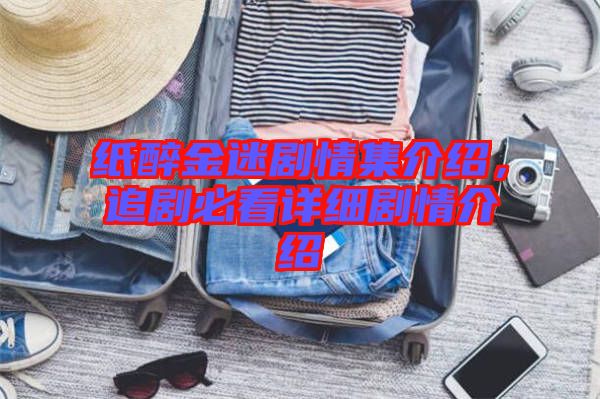 紙醉金迷劇情集介紹，追劇必看詳細劇情介紹