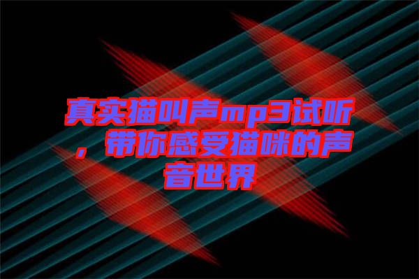 真實貓叫聲mp3試聽，帶你感受貓咪的聲音世界